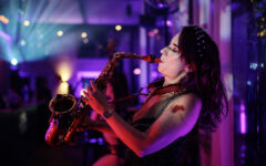 Vystoupení sólistů a kapel